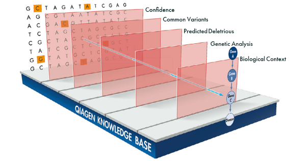 QCII (QIAGEN Clinical Insight Interpretation)의 자동화 Workflow 소개-image