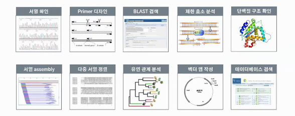Basic Bioinformatics (CLC Main Workbench User Training)-image