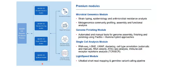 CLC Genomics Workbench Premium 업데이트-image
