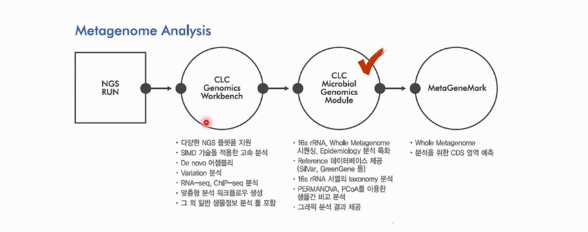 Basic Bioinformatics (CLC Main Workbench User Training)-image