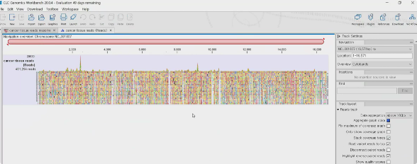 기능 설명부터 케이스 스터디까지, 한번에 끝내는 CLC Genomics Workbench-image