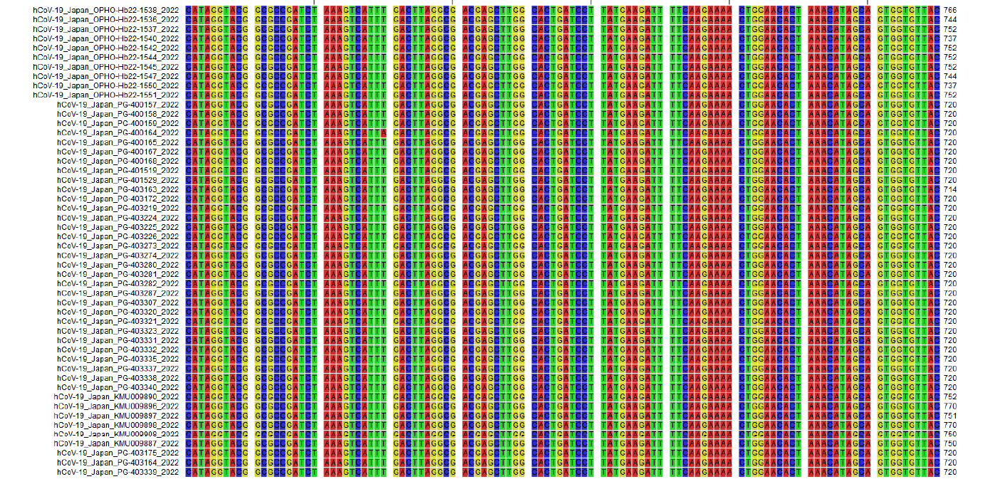 사용 꿀팁 1 : Whole Genome Alignment 플러그인 사용 방법-image