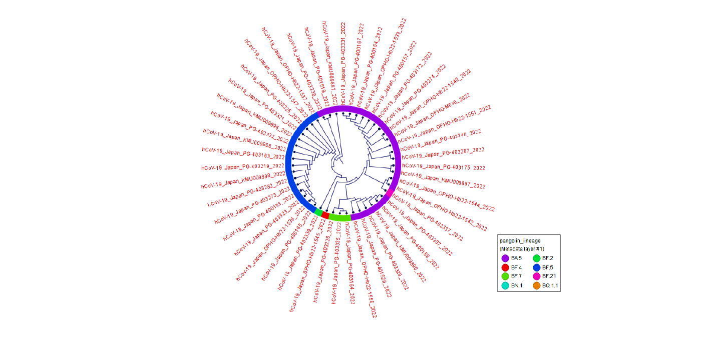 사용 꿀팁 2 : Metadata를 활용한 Phylogenetic Tree 가공 방법-image