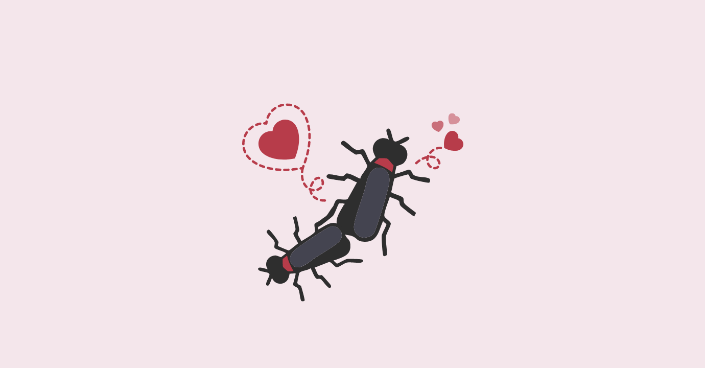 banner/incoblog-1_2TZ6nie.png