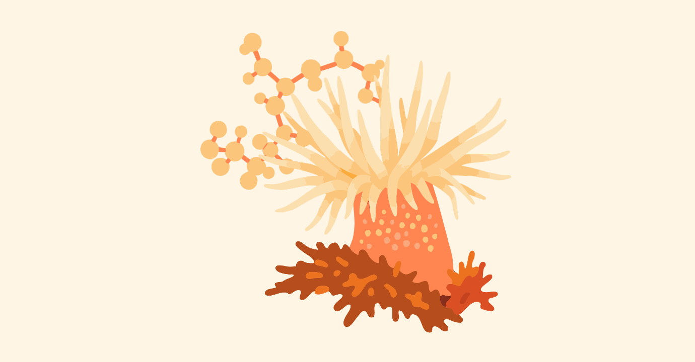 banner/thum__2_8DcVTRZ.png