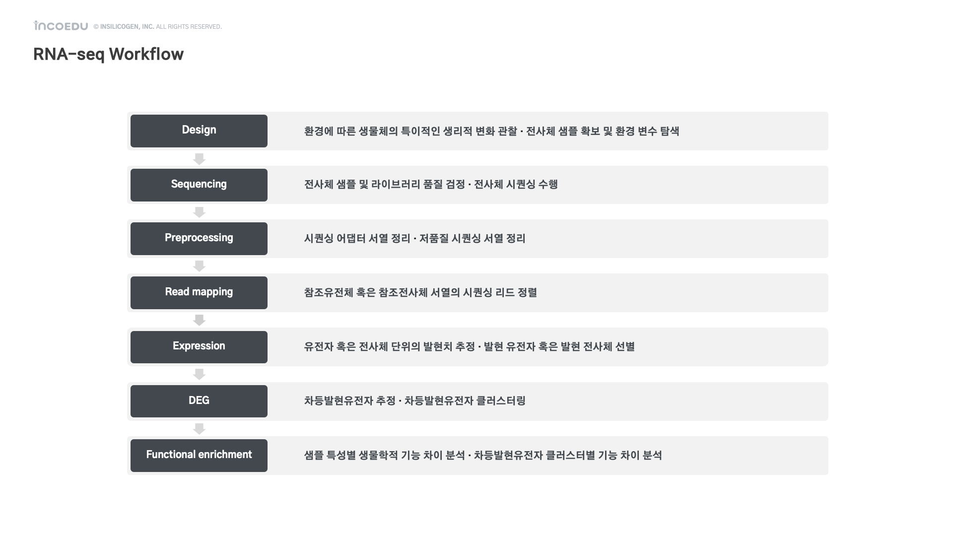 전사체 분석 개요-image