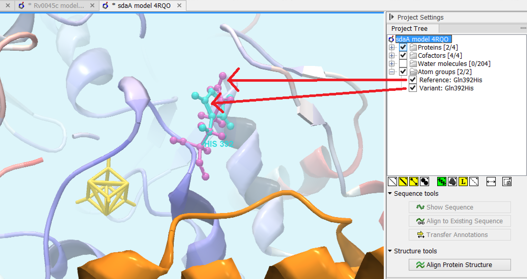 CLC Genomics Workbench를 활용한 변이 분석 방법 소개-image