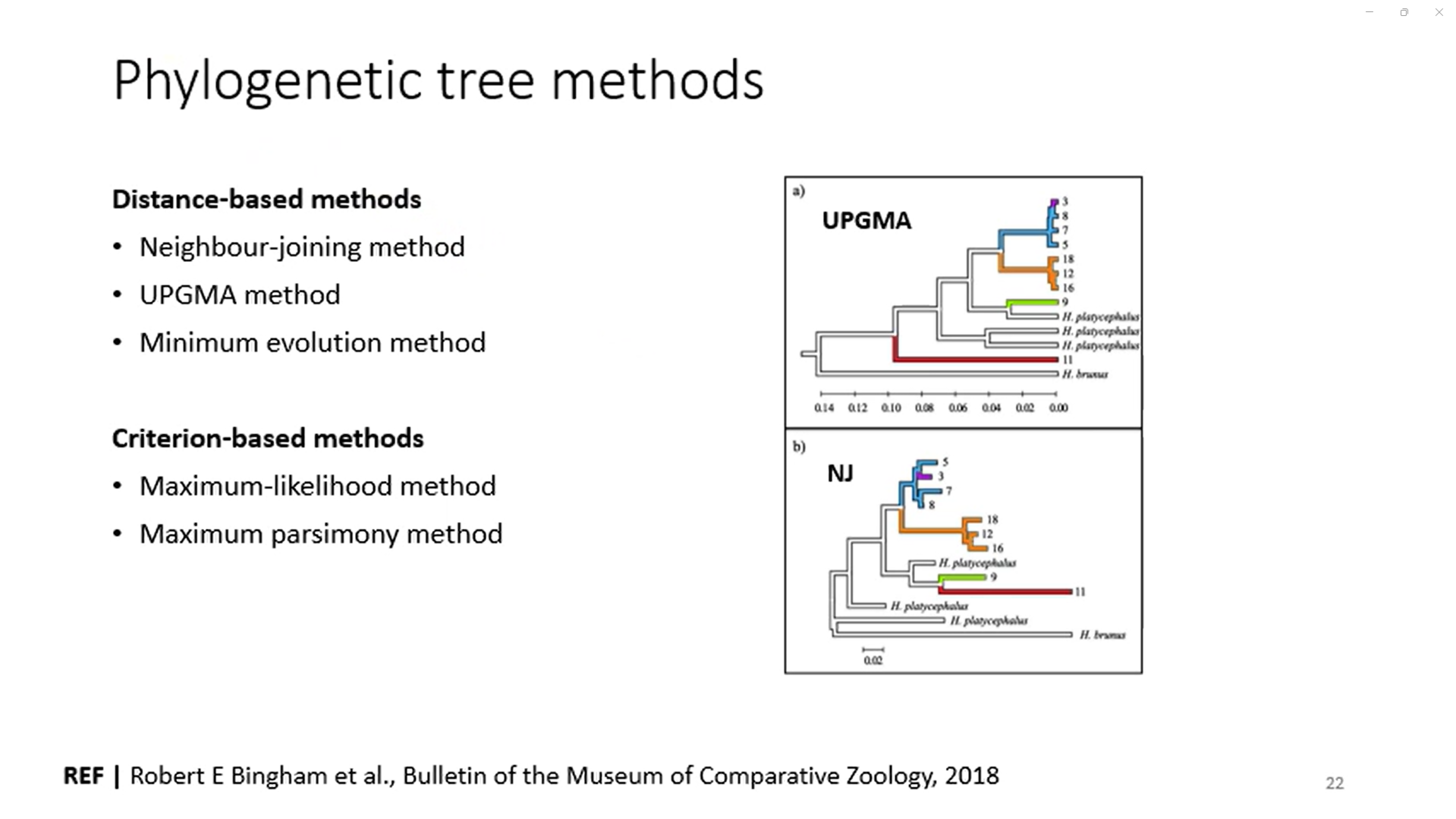 Phylogeny-image