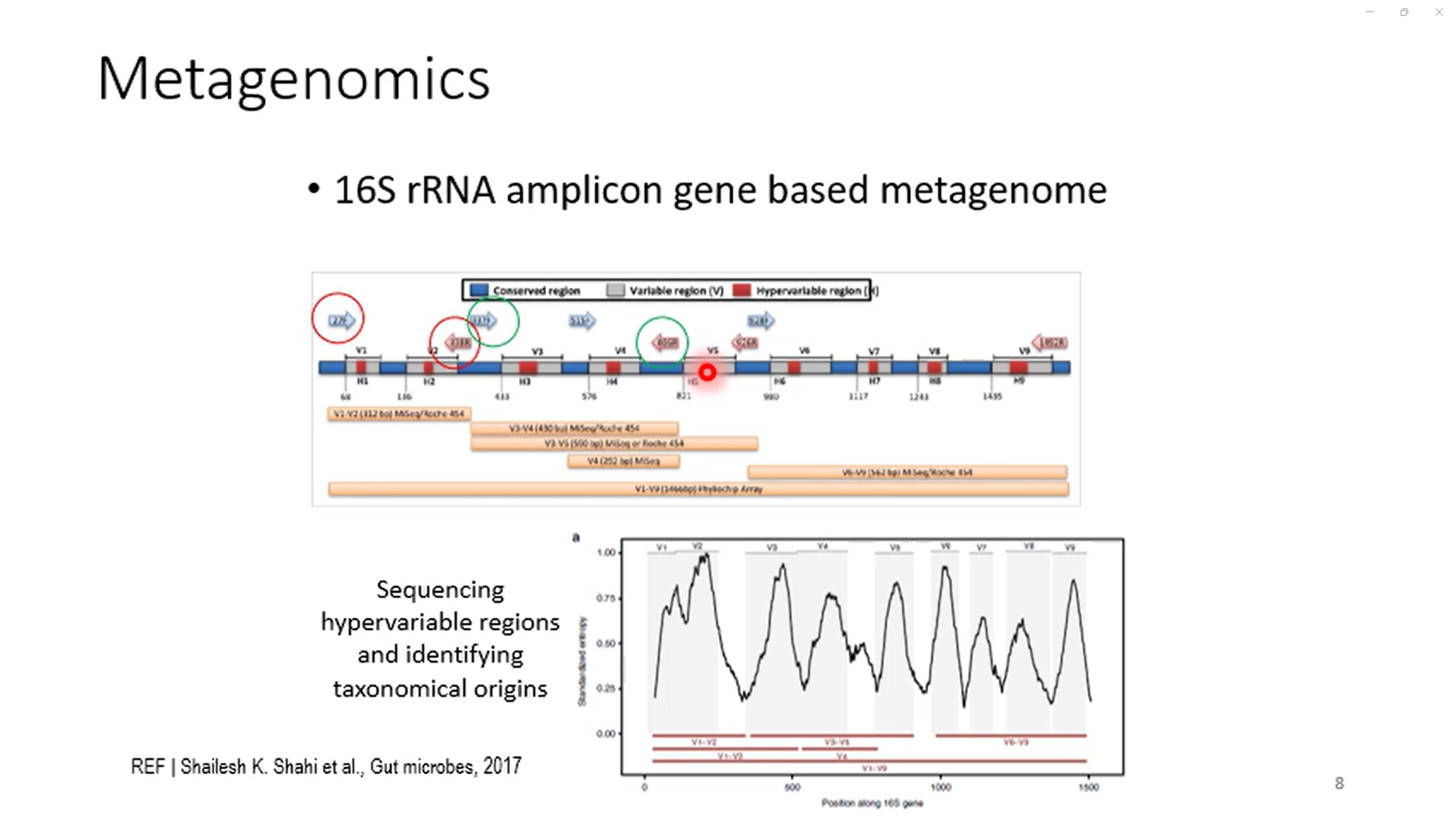 16S rRNA sequencing 분석-image