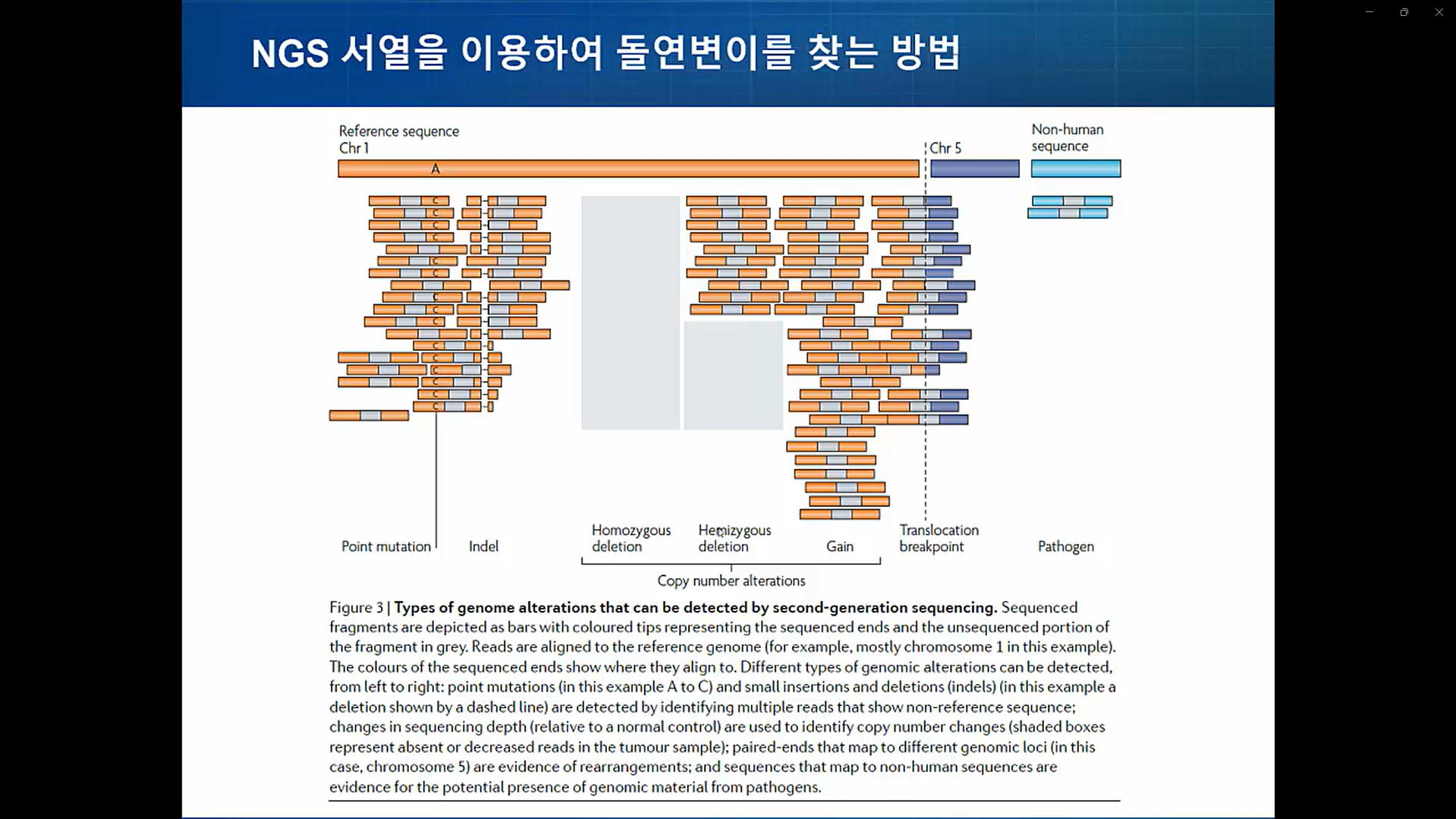 Cancer Genome-image