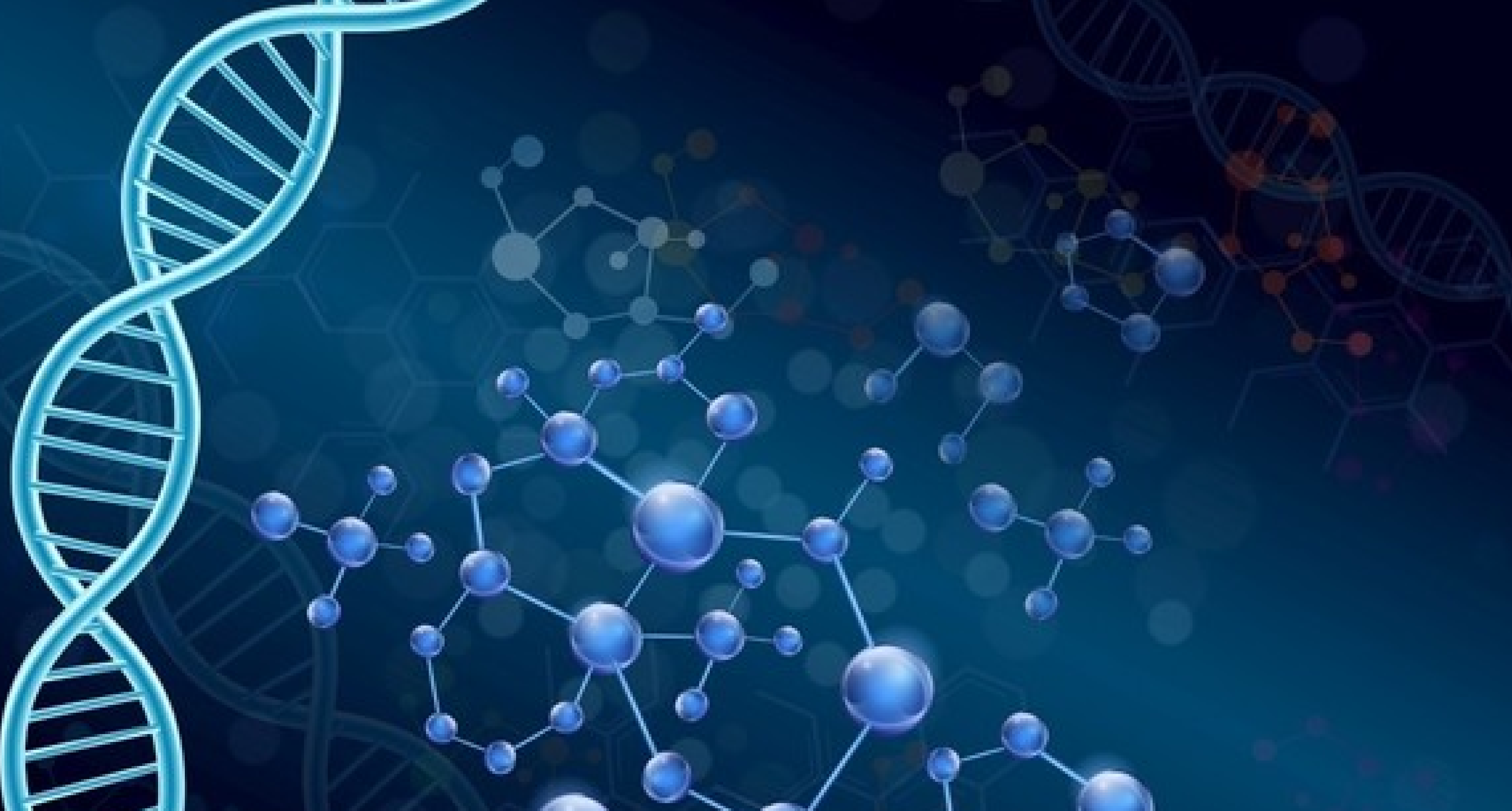 ireport H의 Germline 및 Somatic 변이 해석 프로세스 소개-image