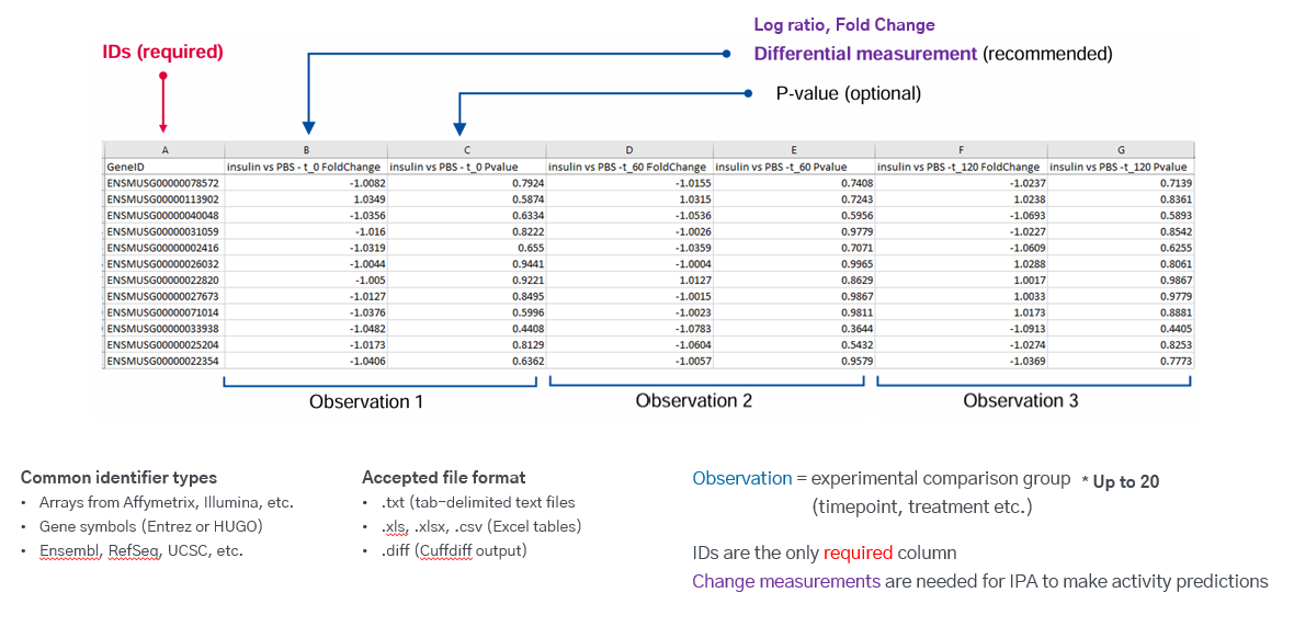 Dataset Definitions-image