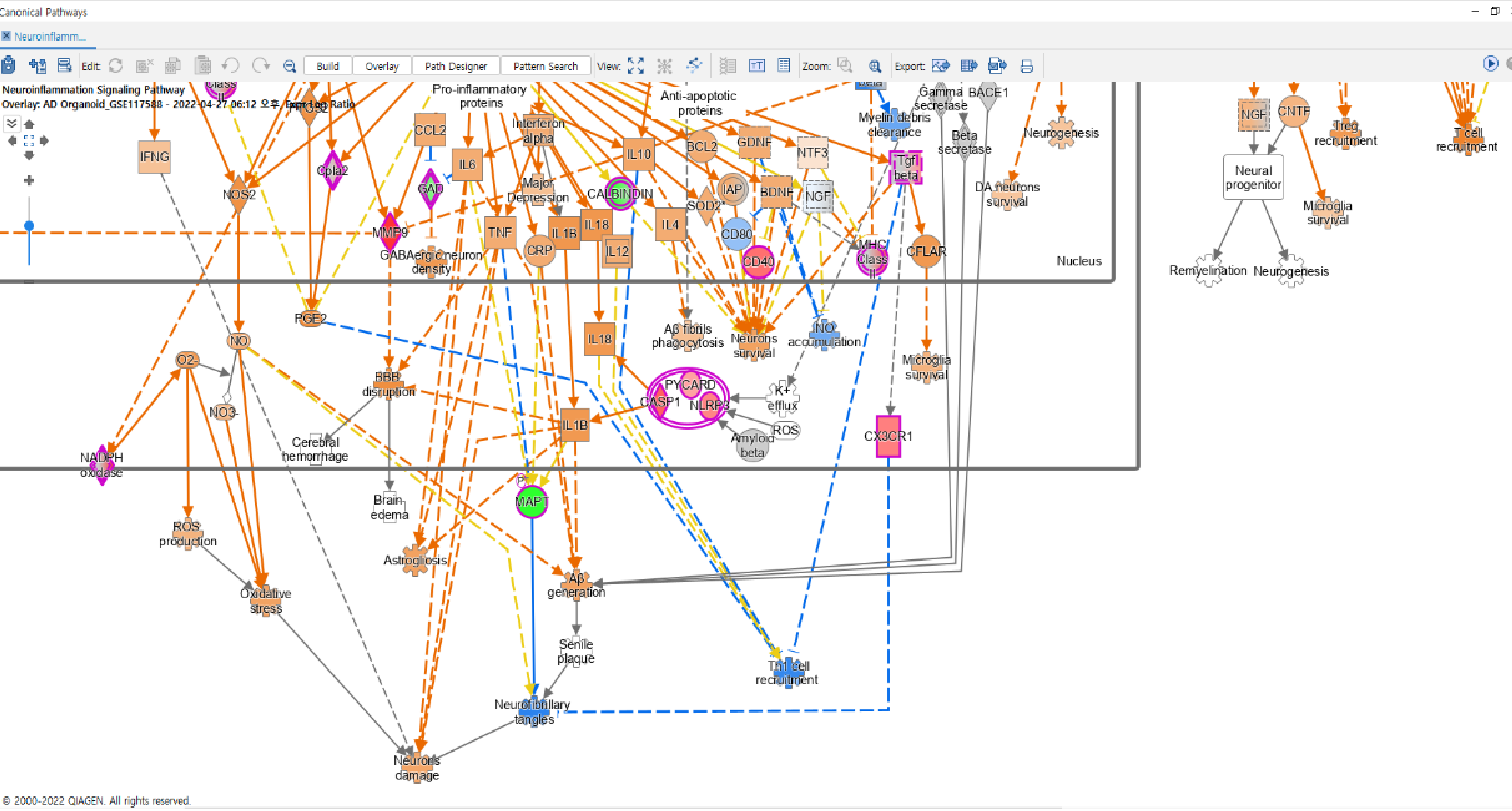 IPA Core Analysis-image