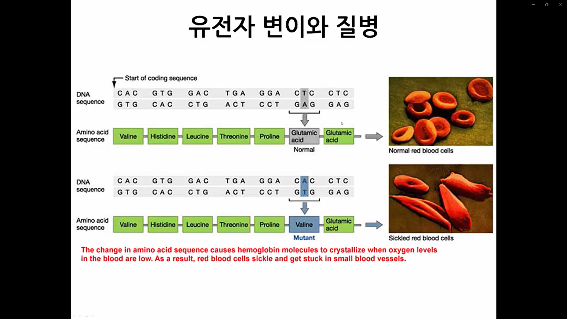 NGS를 이용한 변이 분석-image