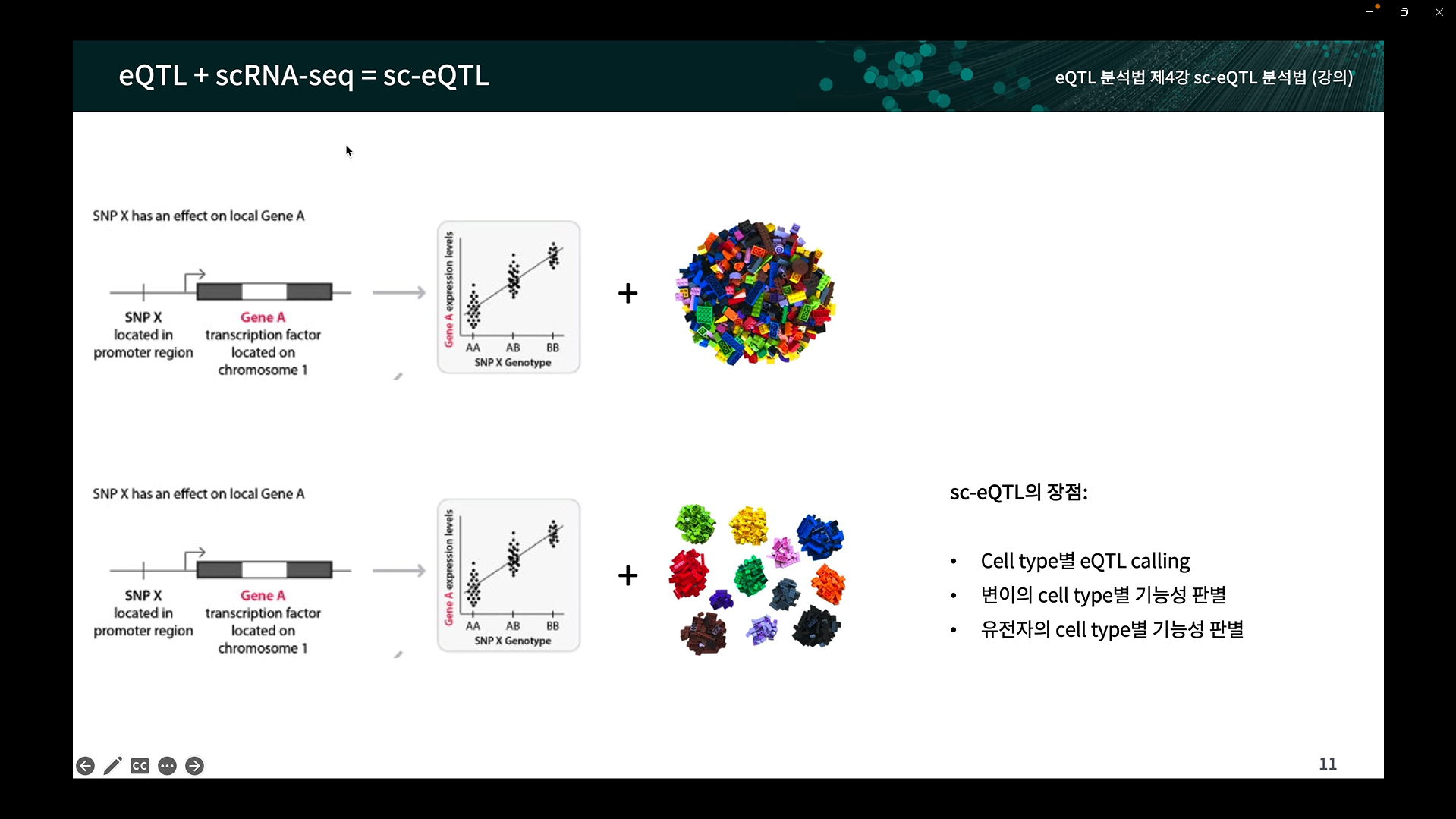 Single-cell eQTL 분석법-image