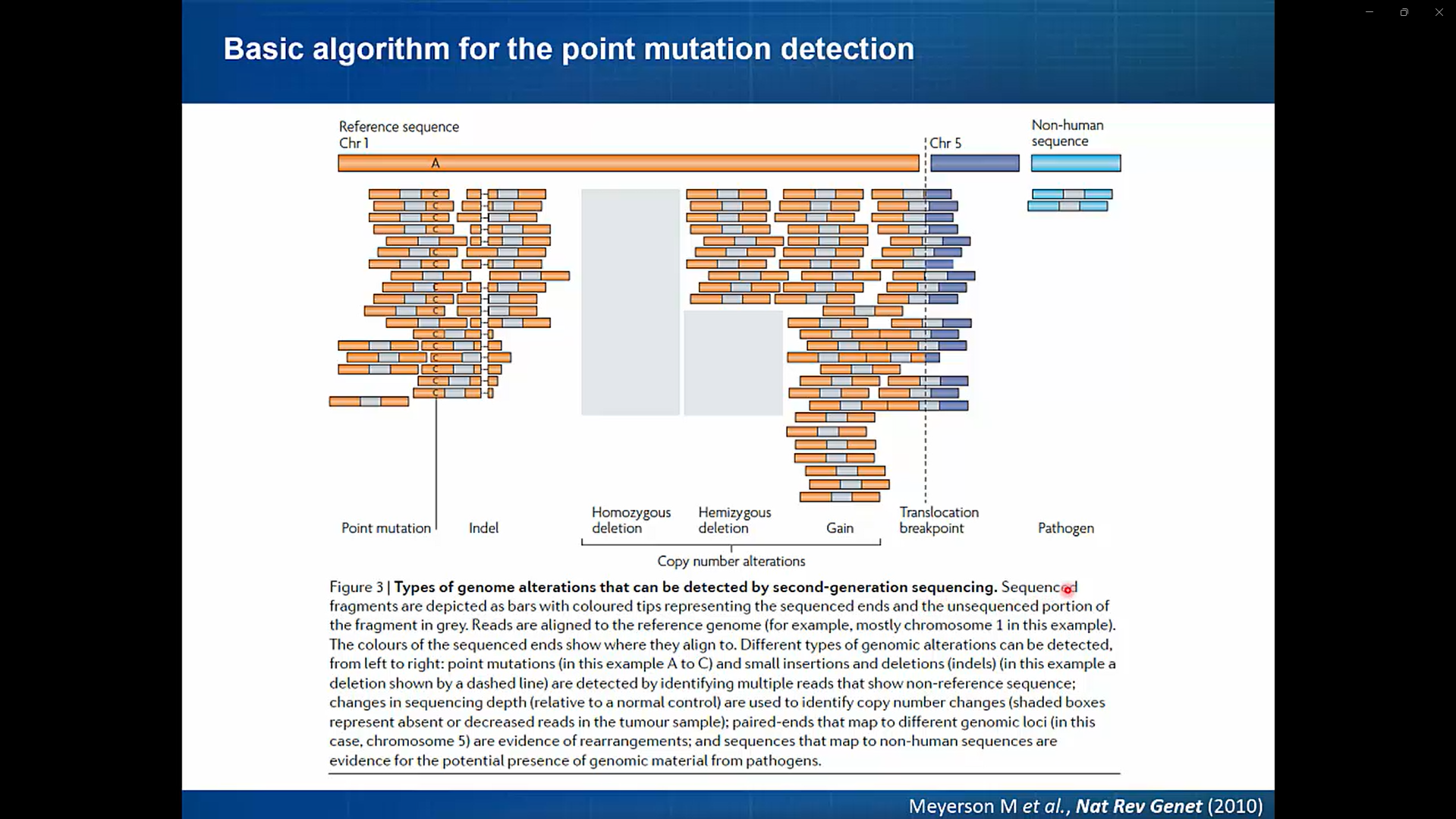 Calling point mutation-image