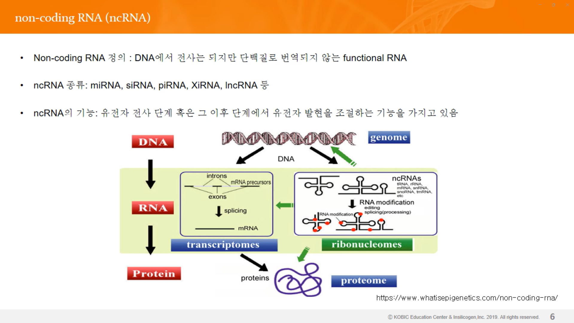 ncRNA-image