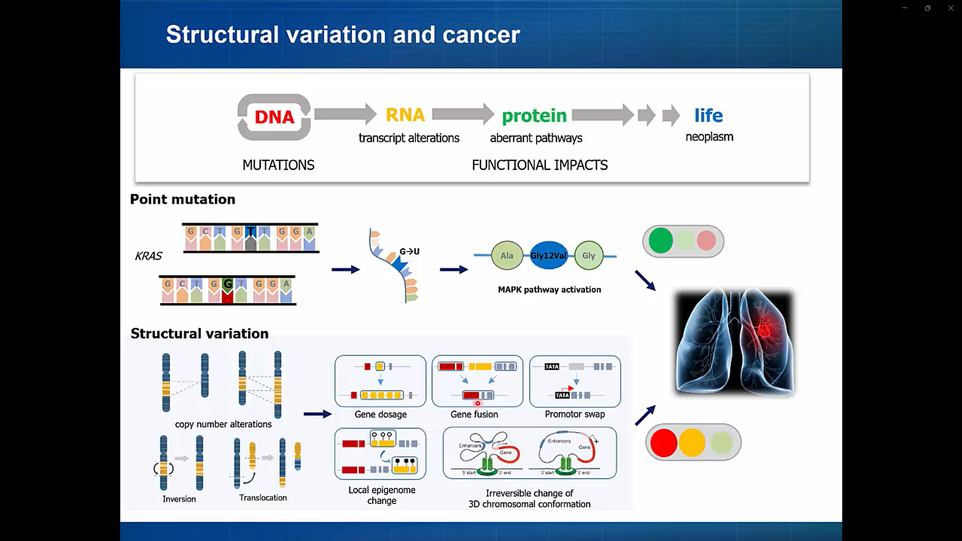 Structural variation & mobile elements-image