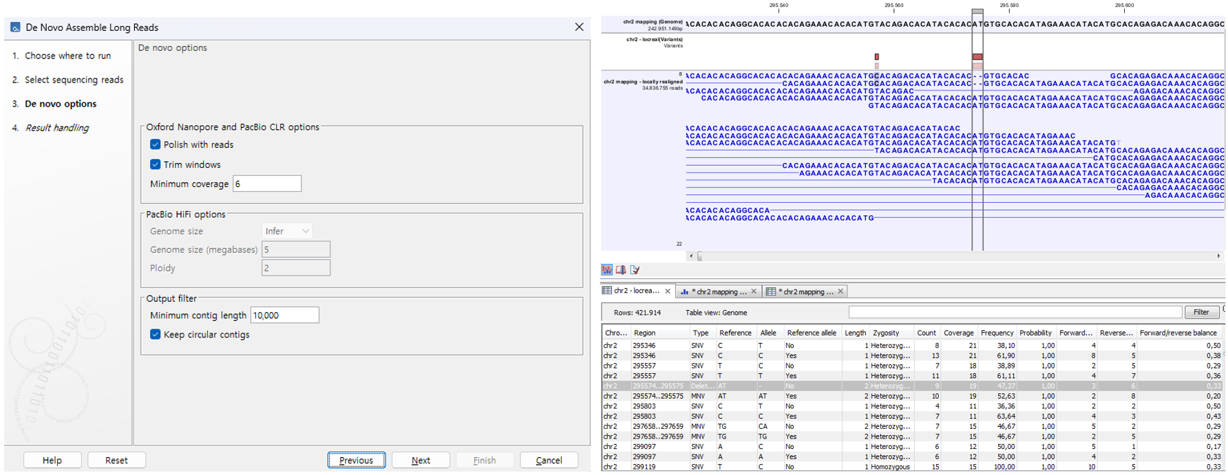 Long-read 데이터 관련 분석 기능 개선 소개-image